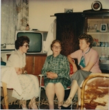 Melita-103