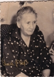 Melita-41