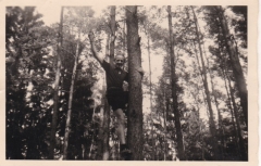 Melita-72