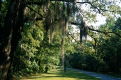 VICKSBURG1_7